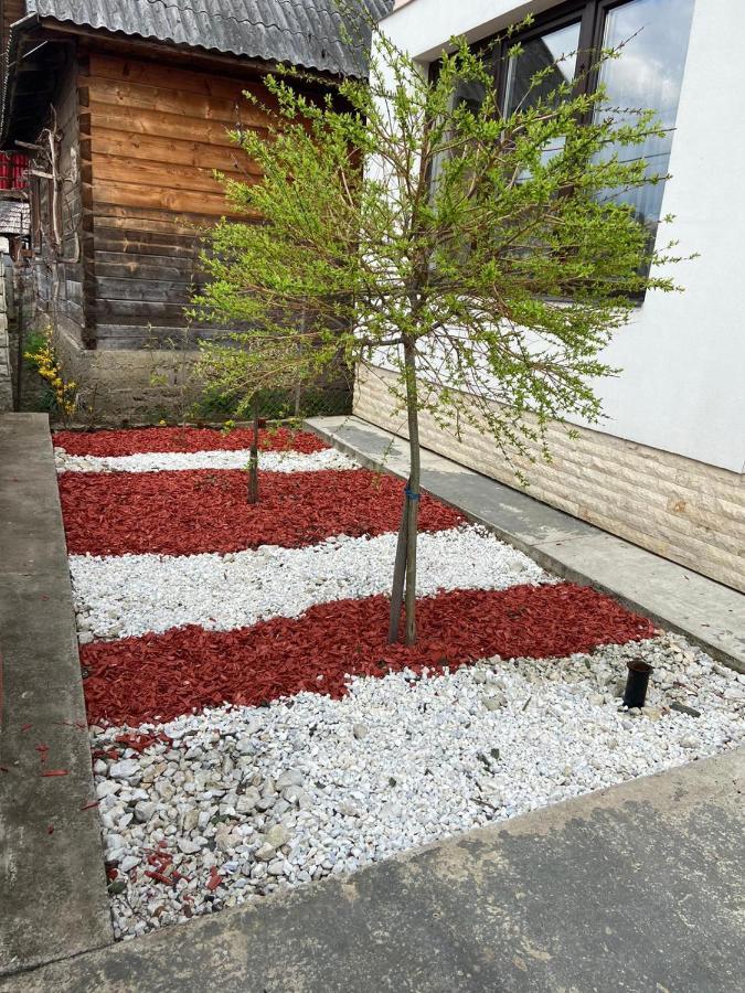 Casa Bianca Oncesti Onceşti Exterior foto